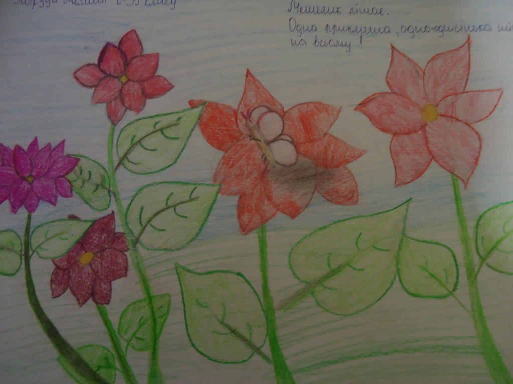 DSC00084